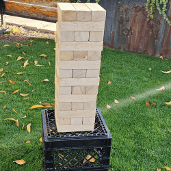 44 20251120 231947 0043 1763707704 Giant Jenga